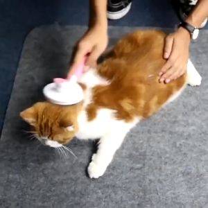 Sisir Hewan Otomatis Tombol Pencet Kucing Anjing Kelinci Grooming Hewan