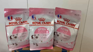 Hạt mèo con Royal Canin Kitten Thức ăn cho mèo con 400g thức ăn khô cho mèo hạt cho mèo con