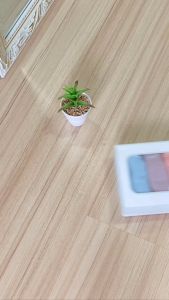 Dreamtale Seluar Dalam Wanita Women Panties Underwear Ribbon Love 5 Pcs Panties Set Cotton Spandex Ladies Panties Seluar Dalam Wanita WCO212