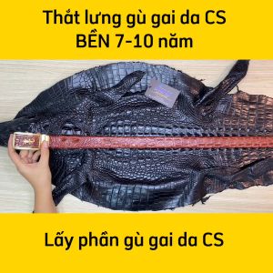 Thắt Lưng Da Cá Sấu. Gù Cá Sấu Đẹp Sang Chảnh TS119V (mặt vàng)