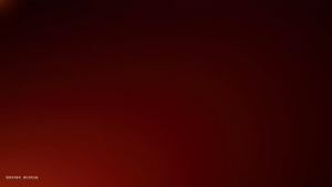 VIVO iQOO Neo 10 Pro/VIVO iQOO Neo 10 Snapdragon 8 Gen 3 Gaming Phone 6.78" 144Hz AMOLED 120W FlashCharge Independent Display Chip Pro Dual SIM Sony IMX920 OIS VIVO IQOO Mobile Phone