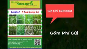 Combo8A – Gồm 8 Loại Giống Cỏ Chăn Nuôi