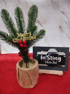 Pohon Natal Mini/ Pohon Natal Daun Cemara/ Pohon Natal Meja/ Props Fotography