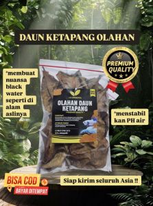 DAUN KETAPANG LAUT OLAHAN KEMASAN BESAR SUDAH DI OLAH PROSES FERMENTASI
