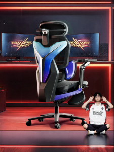 Ergonomic Lumbar Support Gaming Chair