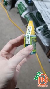 Chế Phẩm Hùng Nguyễn 6 In 1 20ml - Kích Rê Kích mầm Cho Hoa Lan