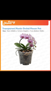Round Transparent Plastic Orchid Flower Pot Pasu Bunga Orkid Plastik Big Size 15cm Width 11cm Height