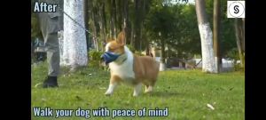 " Local Stock" Dog Muzzle Mesh Muzzle for Small Medium Large Dogs Soft Dog Muzzle to Prevent Biting Chewing Drinkable Breathable Adjustable Puppy Muzzle