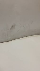 Lampu Depan Daymaker Biled Cahaya Laser Cut Off Jauh dekat Plus Shroud Led Projector Devil Universal