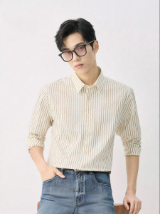 Spring Mens Professional Long Sleeve Shirt with Stripes