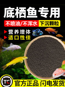 Benqi Fish Feed Fish Food Koi Lucky Cat Blue with Tiger Head Shark Scavenger Special-Shaped Fish Goldfish Sinking Fish Food