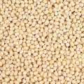 Ulunthu Putih India (AKS/KOREKA) 100g/250g/500g. 