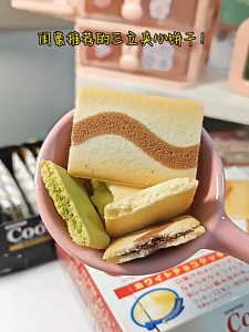 [TURTLE]Sanritsu Couque Dasses White Chocolate/Chocolate Japan Biscuits 12pcs casual snacks