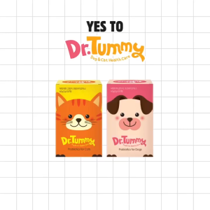 Dr. Tummy Probiotics for Dogs & Cats - Korea brand | Lactobacillus Pet Health Care 60g (30 Sticks)