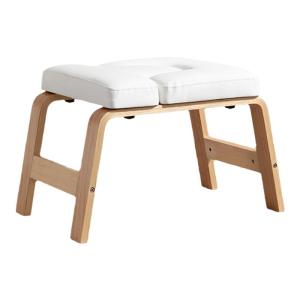 UPTTITUDE | Professional Core Strength Assistance Inversion Bench