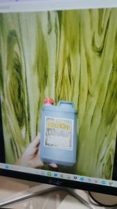 สีเขียวตะไคร่น้ำ สีอะคริลิค สูตรน้ำ ดีต่อสุขภาพ กลิ่นไม่เหม็น สีทัยไม้เทียม กับ กระเป๋าเชื้อ 1 ปริมาณ