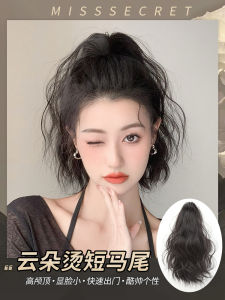 ปลอมผมหางม้าสำหรับผู้หญิง ปลอมผมทรงหางม้าสูง คลิป คลื่นผมหนา ทรงผมหย่อนคล้อย ปลอมผมบraid ทรงผมสำหรับผู้หญิง