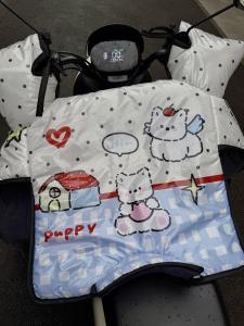 Tấm Chắn Gió Xe Điện Dày Chống Nước Chống Mưa Mùa Đông Cho Xe Điện Nhỏ Thương Hiệu Không Có Kiểu Dáng Hoạt Hình Cỡ Lớn