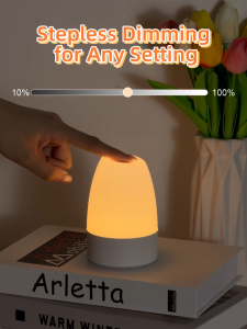CHENBEN Portable Night Light LED 3 Colors Change Bedside Table Lamp USB Rechargeable Desk Lamp Touch Dimmable Bedroom Sleeping Atmosphere Light