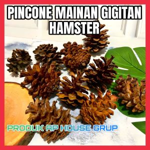 PINECONE GIGITAN HAMSTER - MAINAN HAMSTER PINECONE《ISI 5 PCS》