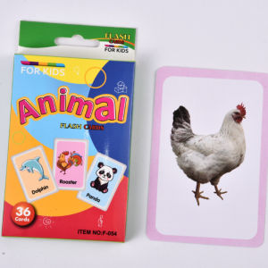36Pcs Kids Cognition Card Shape Animal Color Teaching Baby English Learning Word Card Education Toys Montessori Material Gift