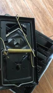 BARU jepretan tikus kzk / perangkap tikus murah / jebakan tikus langsung mampus BEST QUALITY