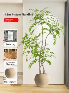 Realistic Luxury Indoor Decoration Fake Plant
