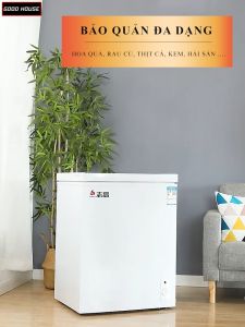 Tủ đông mini gia đình tiết kiệm điện dùng trữ sữa làm đá nội địa Trung nhập khẩu chính hãng.