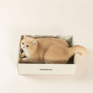 WURENDAO | Wearable Flake-resistant Integrated Cat House