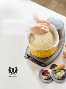 Donlim | Automatic Dough Making Meat Grinder For Home Use