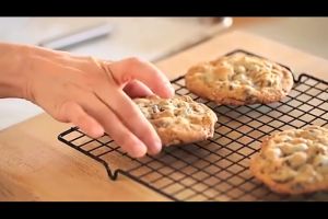 Cooling Rack for baking large Food Cooling Rack Non-stick Baking Tray for Oven Cake Pizza Bread Barbecue Biscuit Cookies Stainless Steel Baking Tray Kitchen Grill Net Cake Pizza Bread Cookies Drying Stand Holder Wire Grid Cooling Rack Tray Cookie Biscuit