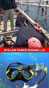 Kacamata Selam Snorkeling Diving Goggles Anti Fog  - Yellow