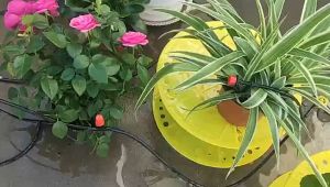 158PCS Drip Irrigation Kit DIY Garden Micro Drip Irrigation Garden Plant Watering Kit Garden Fog Cooling Irrigation System with Distribution Tube Hose Adjustable Nozzle 14 inch Hose