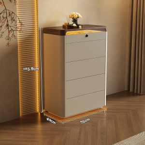 Italian Minimalist Luxurious Living Storage Cabinet
