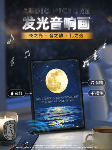 Creative Starry Sky Light Painting Bluetooth Speaker Birthday Gift for Girlfriend Female Friend High-End Christmas Gift