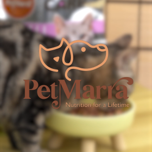 PetMarra Bone Broth for Cats Urinary 50g BUNDLE OF 6 - PetMate urinary appetite booster supplement dogs cats all breeds
