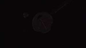 Coin Pembuka Baut Plate Tripod Kamera Koin 1/4 Wrench Screw Kunci Quick Release Plat