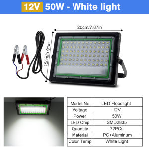 50W/100W LED Outdoor Floodlight With White Light/Warm Light/RGB With Switch EU Plug 220V
