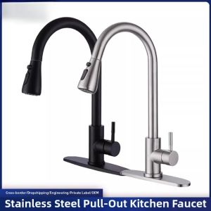 Pull-down Stainless Steel Sink Faucet