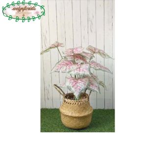 Pohon Artificial Daun Calladium Pink X18 Semilatex Cover Purun Belly Hiasan Rumah Dekorasi Ruangan