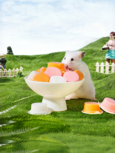 BUCATSTATE | Nutritious Hamster Snacks