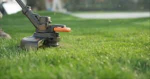 BLACK + DECKER BCBT1820D1 20V Cordless Blade and String Trimmer with 2.0AH Battery Lawn Mower Outdoor Grass Cutter Tools