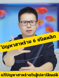 📣แจกฟรีชุดเครื่องทำความสะอาด 3 ชิ้น📣 กำจัดตะไคร่น้ำเขียว แก้ปัญหาตะไคร่และน้ำเขียว 550มล. ต่อขวด ขจัดสาหร่ายเห็นผลเร็ว ยับยั้งการเจริญเติบโตของสาหร่าย ดูแลคุณภาพน้ำอย่างต่อเนื่อง น้ำเขียว สูตรน้ำเข้มข้น ปรับสภาพน้ำใส ANTI ALGAE
