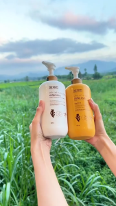 Combo dầu gội xả thảo dược gừng dừa cỏ cây hoa lá 650g giảm gàu ngứa gãy rụng dưỡng tóc suôn mượt