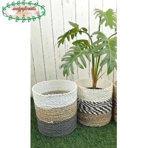 Pohon Daun Jari Philo X7 Latex Pot Dasar Hitam Cover Pot Bulat Seagrass Dekorasi Rumah Aesthetic