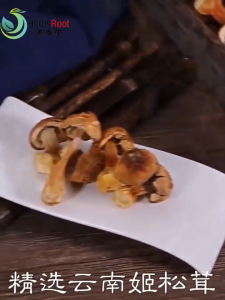 Agaricus Blazei Mushroom Brazil 姬松茸 巴西蘑菇 增强免疫家庭煲汤 云南无硫巴西菇 松茸鲜 菌菇湯包 dried mushroom