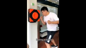Panduan Lengkap untuk Punch Pad Tinju & Wall Pad Boxing