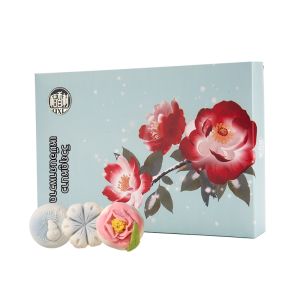 DXC | Gift Boxed Pastries for Spring Various Flavors Traditional Chinese Style