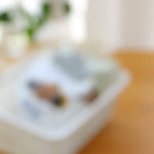 ที่หนีบปากถุง คลิปหนีบซองขนม อเนกประสงค์ Chip Clip [วัสดุทำจากพลาสติก ABS] Food Bag Clip