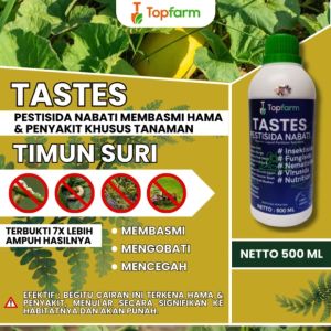 Obat Semprot Daun Timun Suri / Obat Hama Tanaman Timun Suri / Obat Hama Daun Timun Suri / Obat Hama Timun Suri / Obat Pelebat Timun Suri